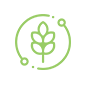 Vegano